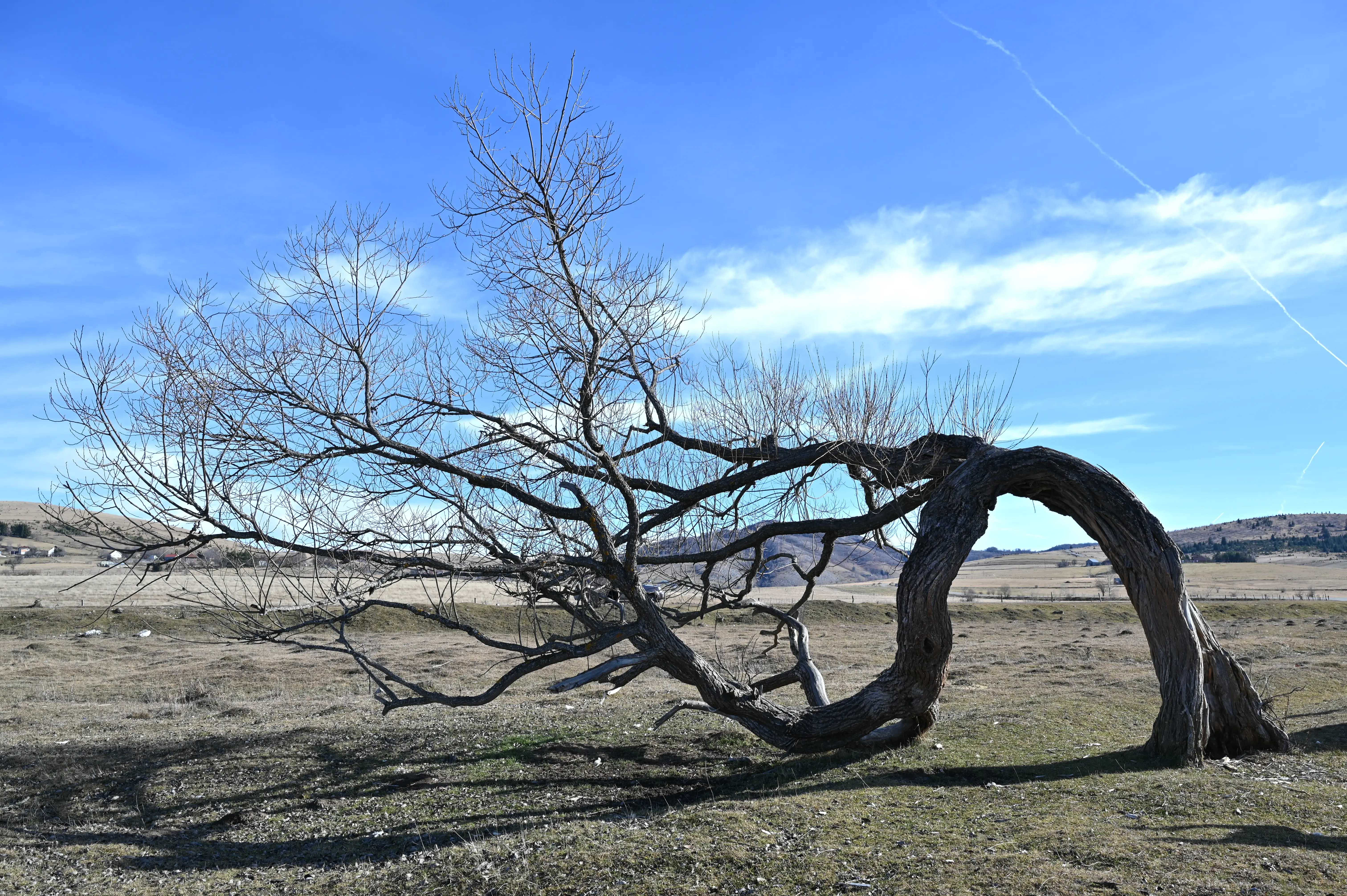 Specijalni rezevat prirode "Peštersko polje" 7